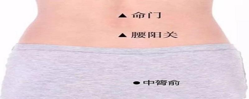 中膂俞的功能主治及作用 中膂俞的位置和功效