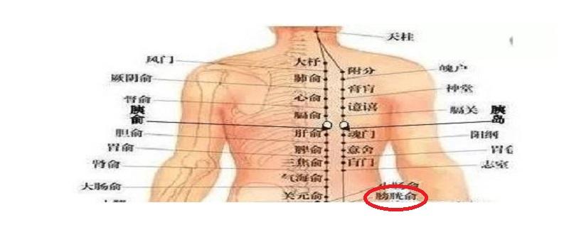 膀胱俞的简单找法 膀胱俞怎么找