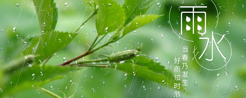 雨水节气不能回娘家吗（什么节气不能回娘家）