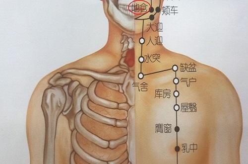 瘦脸艾灸哪里最好 瘦脸艾灸方法图解