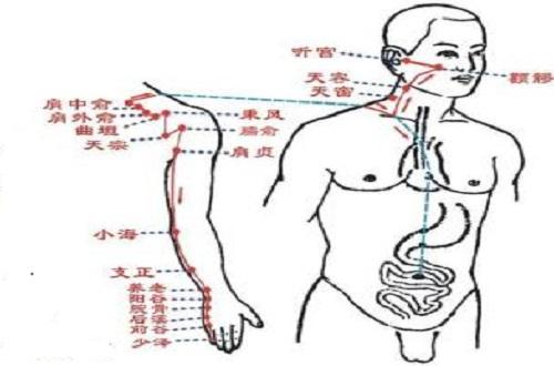 小肠经作用功效（小肠经络的功效和作用）