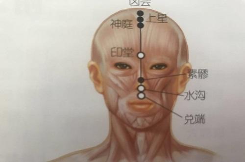 素髎准确位置图和作用 素髎准确位置图和作用的准确位置图和作用