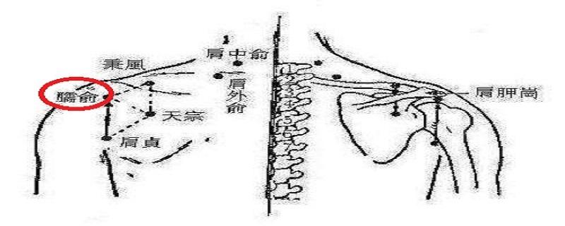 臑俞准确位置图 臑俞准确位置图和作用及功效