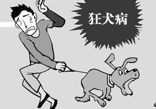 狂犬病的预防措施（狂犬病的预防措施,错误的是）