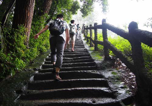 秋季登山的好处（登山运动好处）