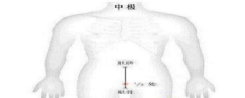 中极针刺方法和禁忌（中极可以针灸吗）