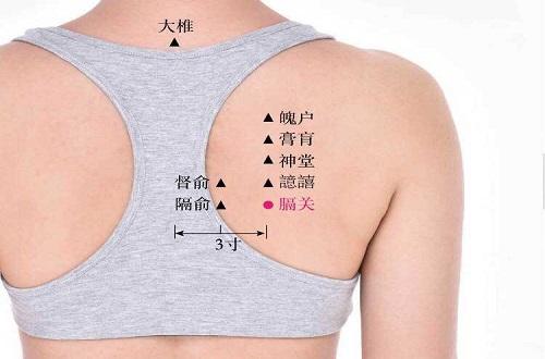 膈关的准确位置图（膈关的准确位置图片和作用）