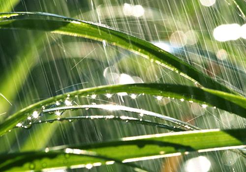 雨水节气这一天吃什么 雨水这个节气吃什么