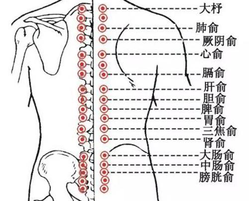 怎么疏通膀胱经 怎么疏通膀胱经和胆经