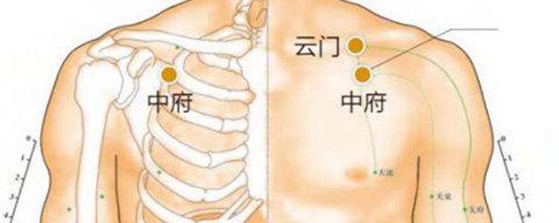 中府的准确位置图和作用（小儿中府的准确位置图和作用）