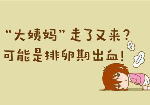 排卵期出血前一天同房会不会怀孕（在排卵期出血前一天同房会怀孕吗）