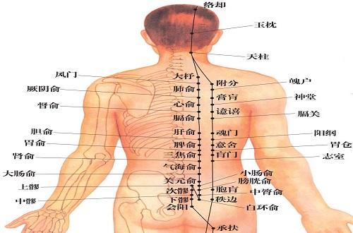 足太阳膀胱经的准确位置图 足太阳膀胱经的准确位置图和作用