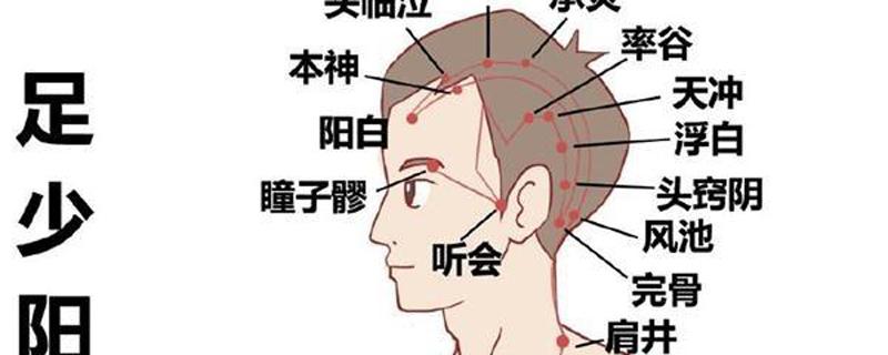 胆经的准确位置图（胆经的准确位置图作用功效）