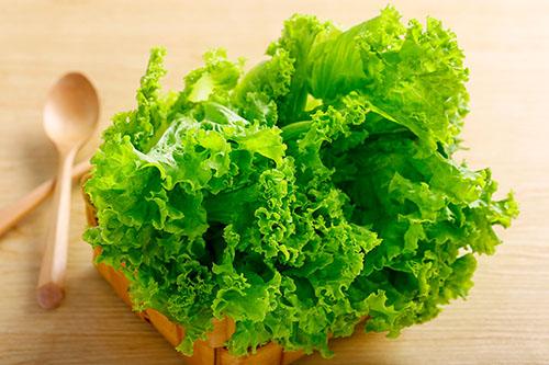 减肥吃什么蔬菜好 减肥吃什么蔬菜好呢