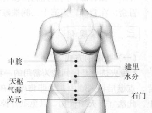 拔罐减肥的位置图 拔罐减肥的位置图片