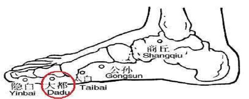 大都在什么位置图（大都的准确位置图片图）