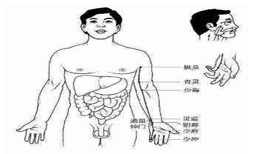 手少阴心经经络图（手少阴心经经络图走向和作用）