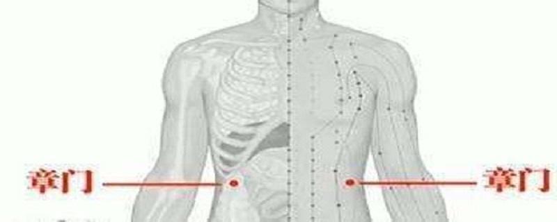 章门针灸方法 章门的针刺方法