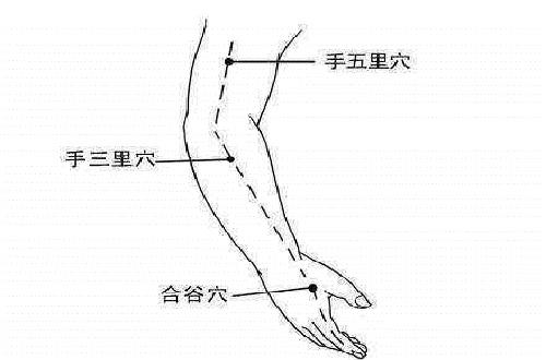 手五里的准确位置图和作用（手五里的定位和主治）