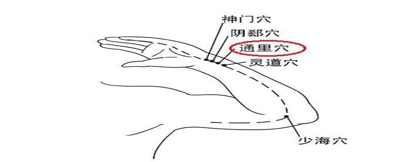 通里的定位和主治 通里的定位,主治及操作