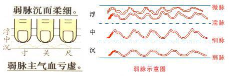 脉象弱是怎么回事 女生脉象弱是怎么回事