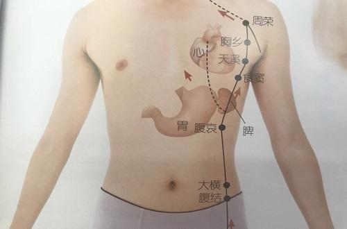 食窦的功效与作用 鼻窦有什么作用