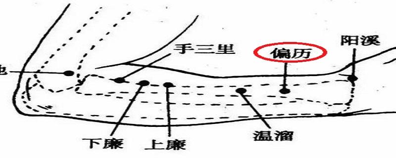 偏历的准确位置（偏历的准确位置图片快速找法）