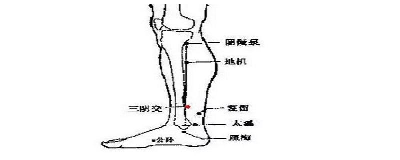 三阴焦位置图怎么按摩（三阴焦位置图和作用）