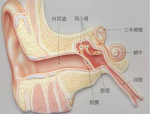 耳朵里面疼是怎么回事 耳朵里面疼是怎么回事还流血水