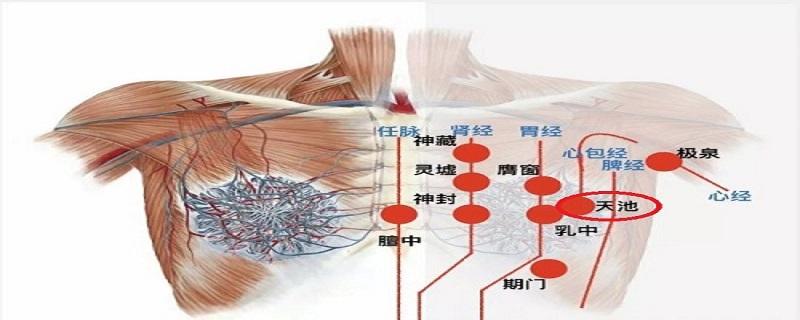 天池的准确位置图视频（天池的准确位置图和作用视频）