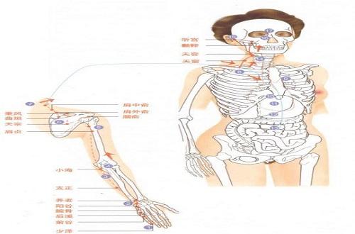 按摩小肠经的好处（按摩肠道的好处）