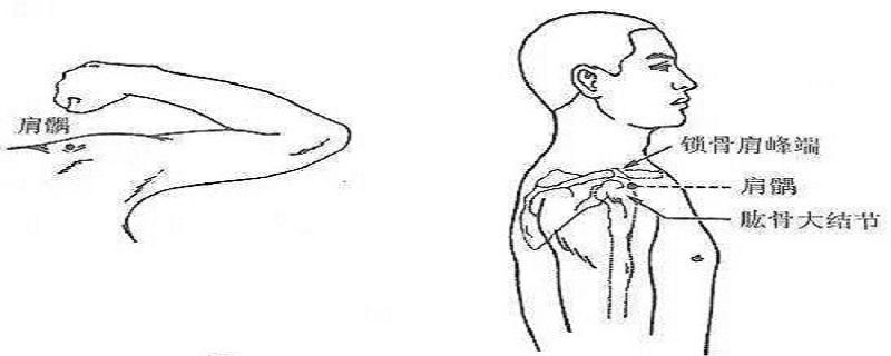 肩髃如何针刺（肩髎针刺视频）