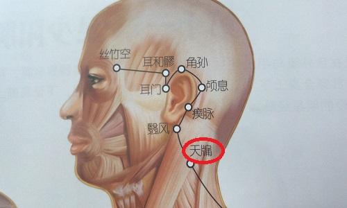 天牗的准确位置图（天牖的准确位置图片）