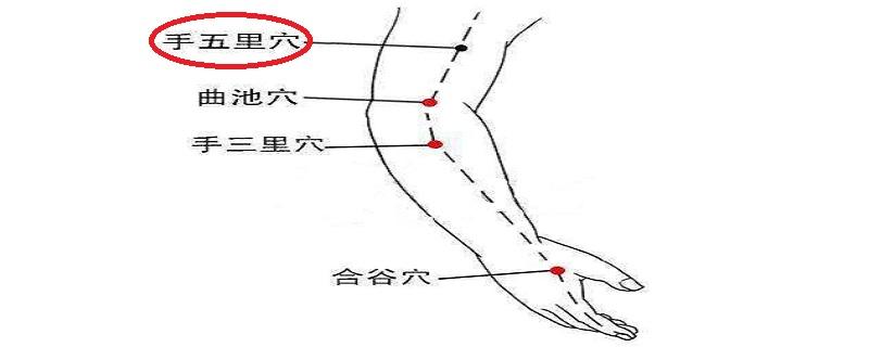 手五里的准确位置图（手五里的准确位置图作用功效）