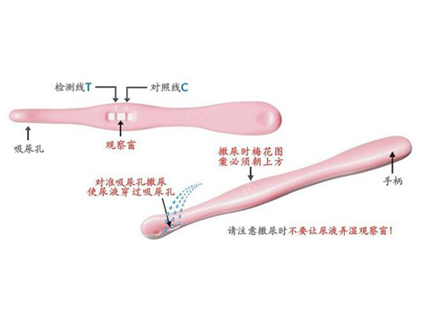 验孕棒怎么使用 验孕棒怎么使用图解法