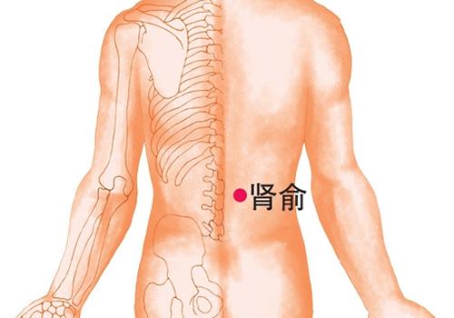 腰椎间盘突出拔罐位置图（腰椎间盘突出拔罐位置图片八髎）