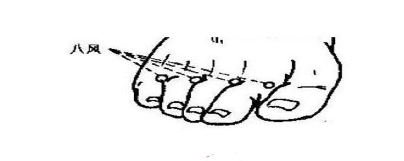 八风的准确位置图片（八邪的准确位置图作用）