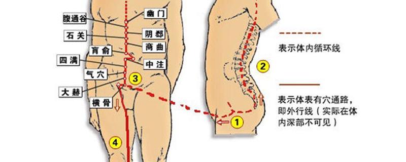 冲脉的准确走向位置图 冲脉的准确走向位置图视频