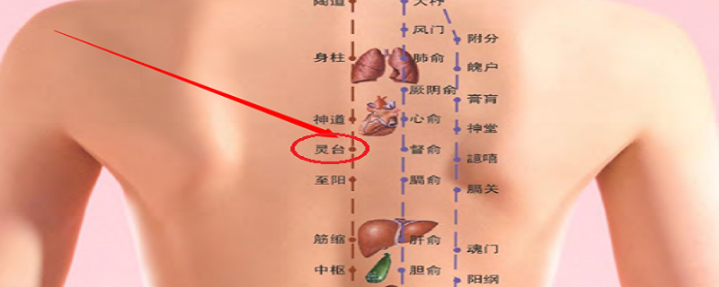 灵台的准确位置功效（灵台准确位置图和功效）