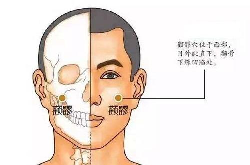 颧髎的准确位置图片（颧在什么位置图）