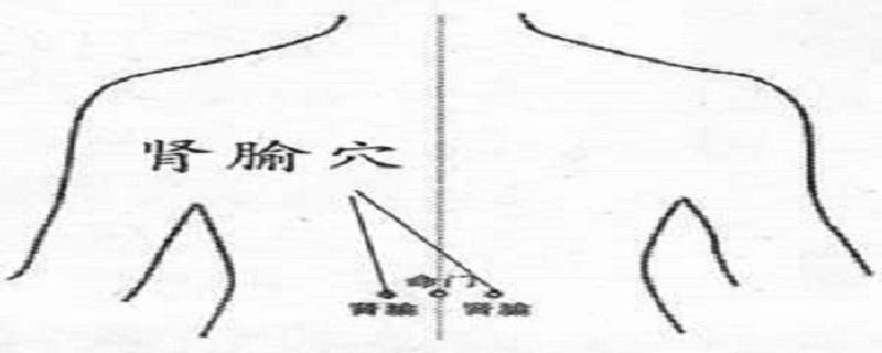 按摩肾俞的功效 怎样按摩肾俞有效