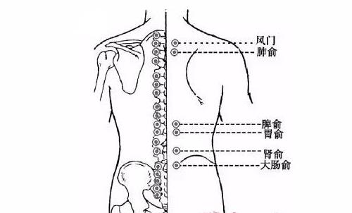 秋冬拔火罐（秋冬拔火罐多久一次合适）