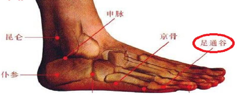 足通谷的功效与作用 足通谷的位置作用及功效