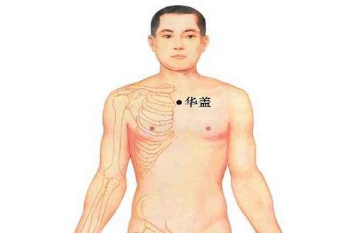 华盖的准确位置图作用（华盖的准确位置图作用功效养生之家）