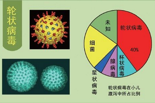 轮状病毒性腹泻治疗（轮状病毒腹泻 治疗）