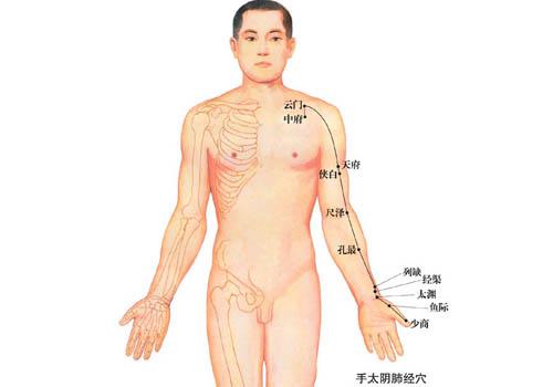 肺经当令时间 肺经当令时间怎么保养