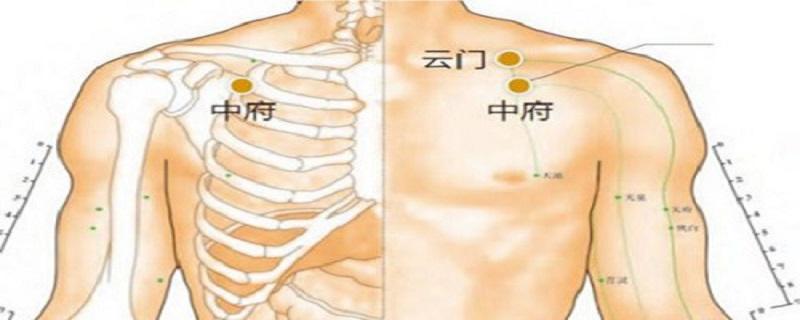 中府的准确位置图和作用 中府的准确位置图和作用的准确位置图片