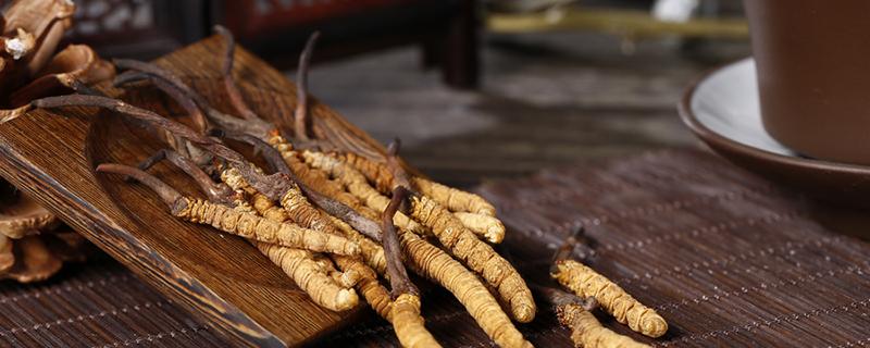 冬虫夏草补什么的（冬虫夏草补什么食用方法）