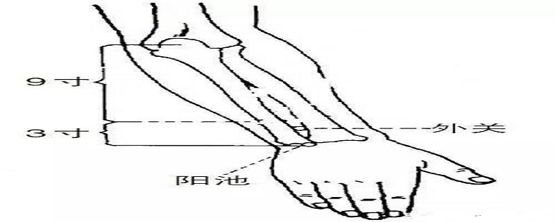 外关针灸位置图和作用（针灸外关的作用）