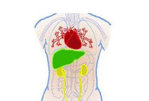 肝功能衰竭症状 肝功能衰竭症状及体征